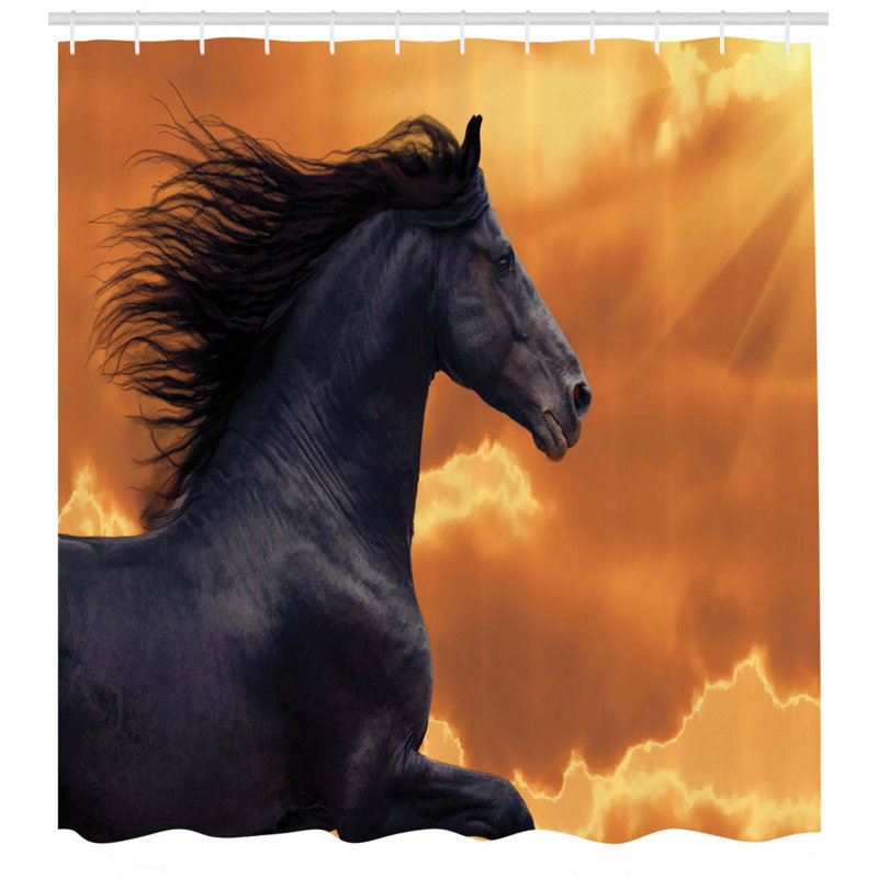 Shower Curtain with Hooks Included, 70" H x 69" W