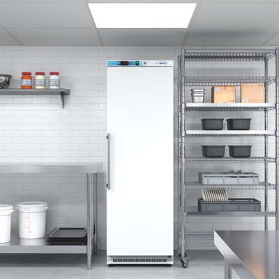 12 Cu. ft. Commercial Reach in Refrigerator in White - Manual Defrost