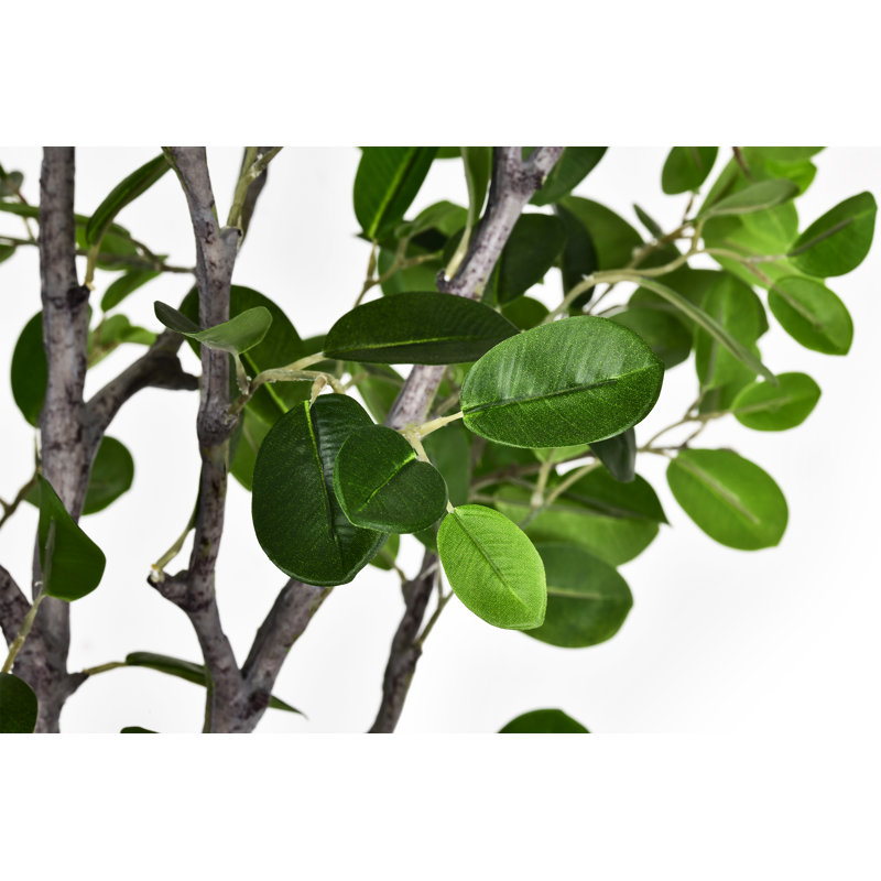 Arbre à ficus artificiel de 6 pi - plante artificielle verte en pot de décoration blanche, décoration de plancher d'intérieur, nécessitant peu d'entretien