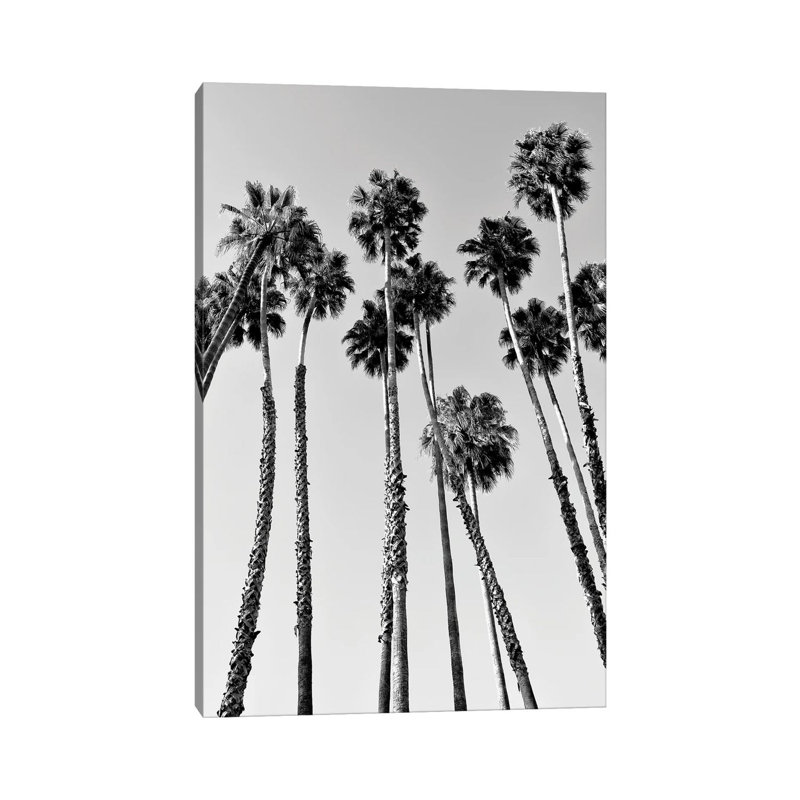 Palm Trees Beverly Hills by Philippe Hugonnard - Wrapped Canvas Print, 20.32 cm H x 30.48 cm W