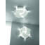 Cosmo LED Flush Mounted Sconce
