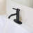Single Handle Bathroom Faucet Lavatory Faucet Stainless Steel Single Hole-T10, Matte Black-118610647