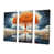 Wrapped Canvas