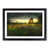 Black Framed