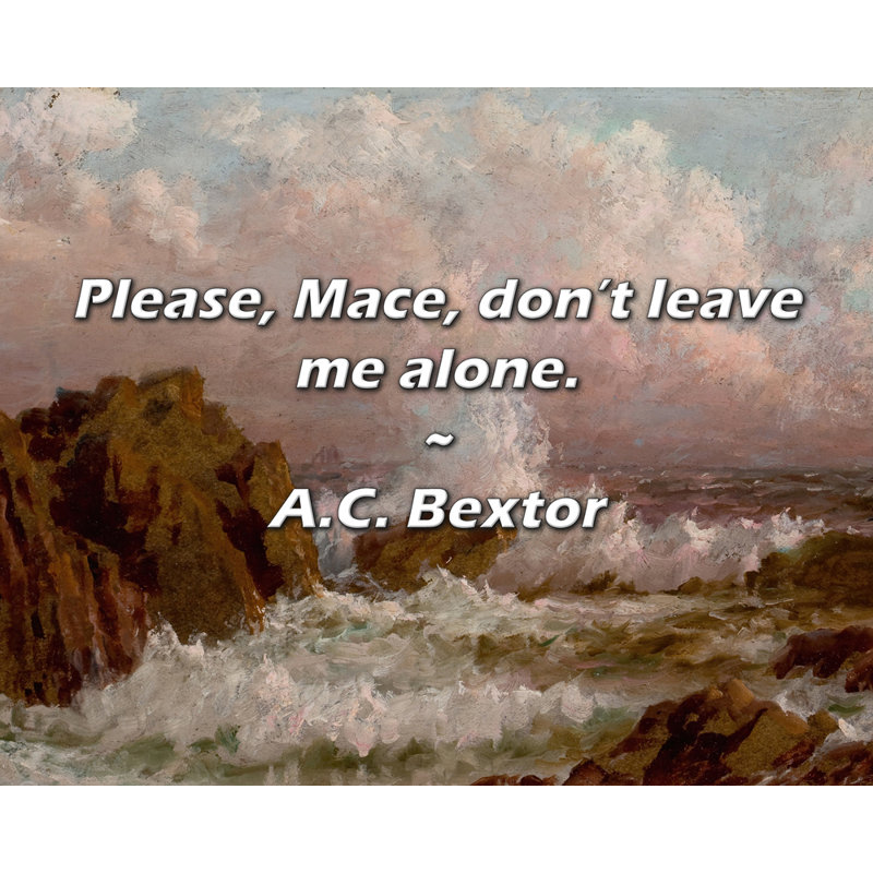 A.ext Bextor Citation: S'il vous plaît, Mace, ne me laissez pas seul.