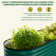 Heise 9 In 1 Modular Galvanized Steel Raised Garden Bed