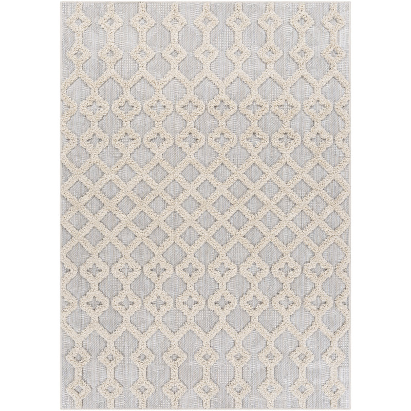 Lenwood Geometric Indoor / Outdoor Rug, Rectangle 5'3" x 7'