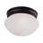  2-Light Ceiling Light in Satin Nickel-26309171-119395835