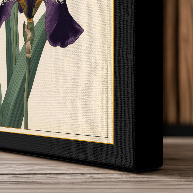 Purple Iris Study Botanical - Wrapped Canvas, 24x16 - 61.0 x 40.6 cm, Black Border