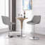 Brishen Swivel Upholstered Adjustable Height Counter Stool
