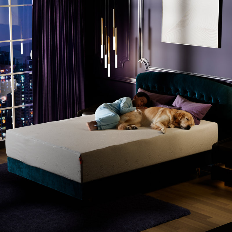 Dreamatter Urban 10" Bamboo Charcoal Foam Mattress, Full, Full