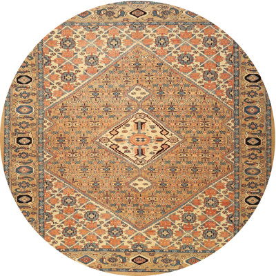 Oriental Indoor Rug
