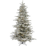 Sierra Christmas Tree