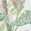 Tropique Wallpaper-49817512