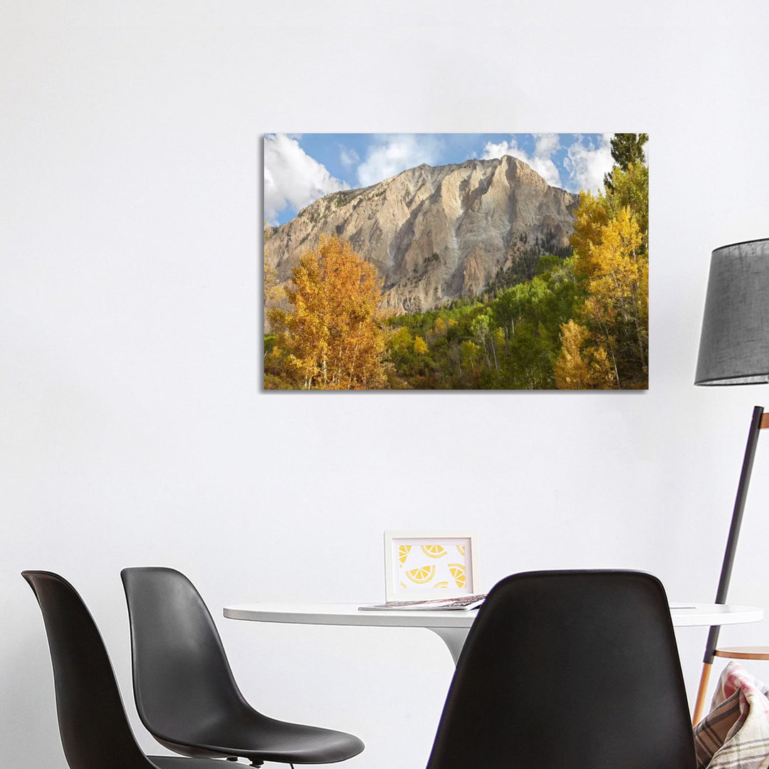 Marcellina Mountain Near Crested Butte, Colorado von Tim Fitzharris - Galerie-verpackte Leinwand Giclée auf Leinwand