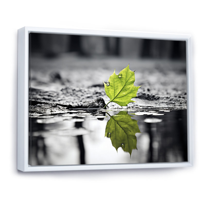«Green Leaves Solitude In Winter II», reproduction d'art sur toile, H 30 po x l 40 po x P 1,5 po, Cadre flottant blanc