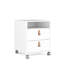 Kwaun 40.2cm Wide 2 -Drawer Mobile File Cabinet