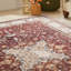 Anthonia Floral Area Rug-33898603