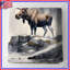 Couvre-lit matelassé Moose In Mountain-126400524