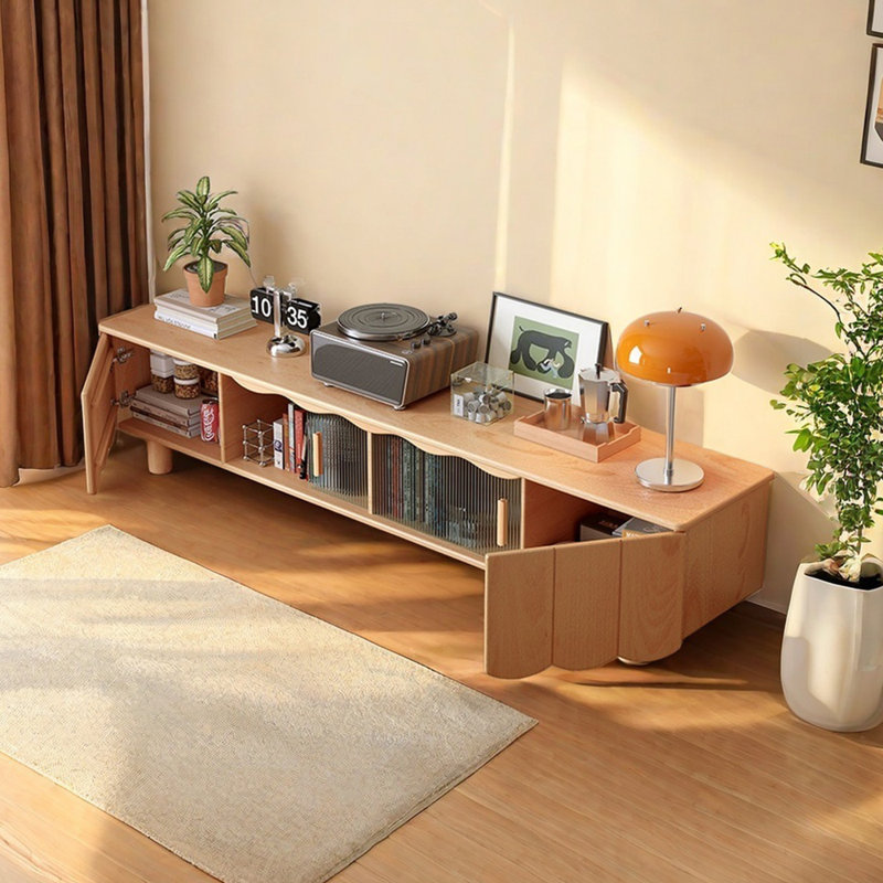 TV Stand with Functional Design