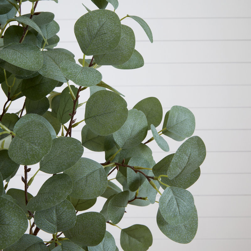 Faux eucalyptus 60 po en pot
