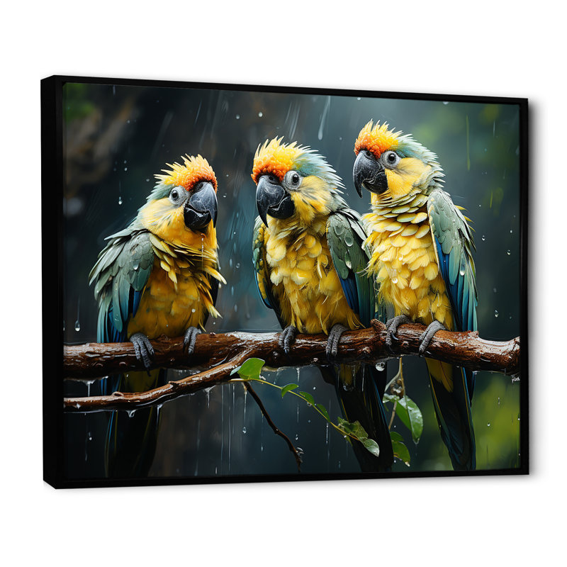 Green And Yellow Parrots Rainforest Chorus I - Parrot Canvas Art Print, Cadre flottant noir, H 34 po x l 44 po x P 1,5 po