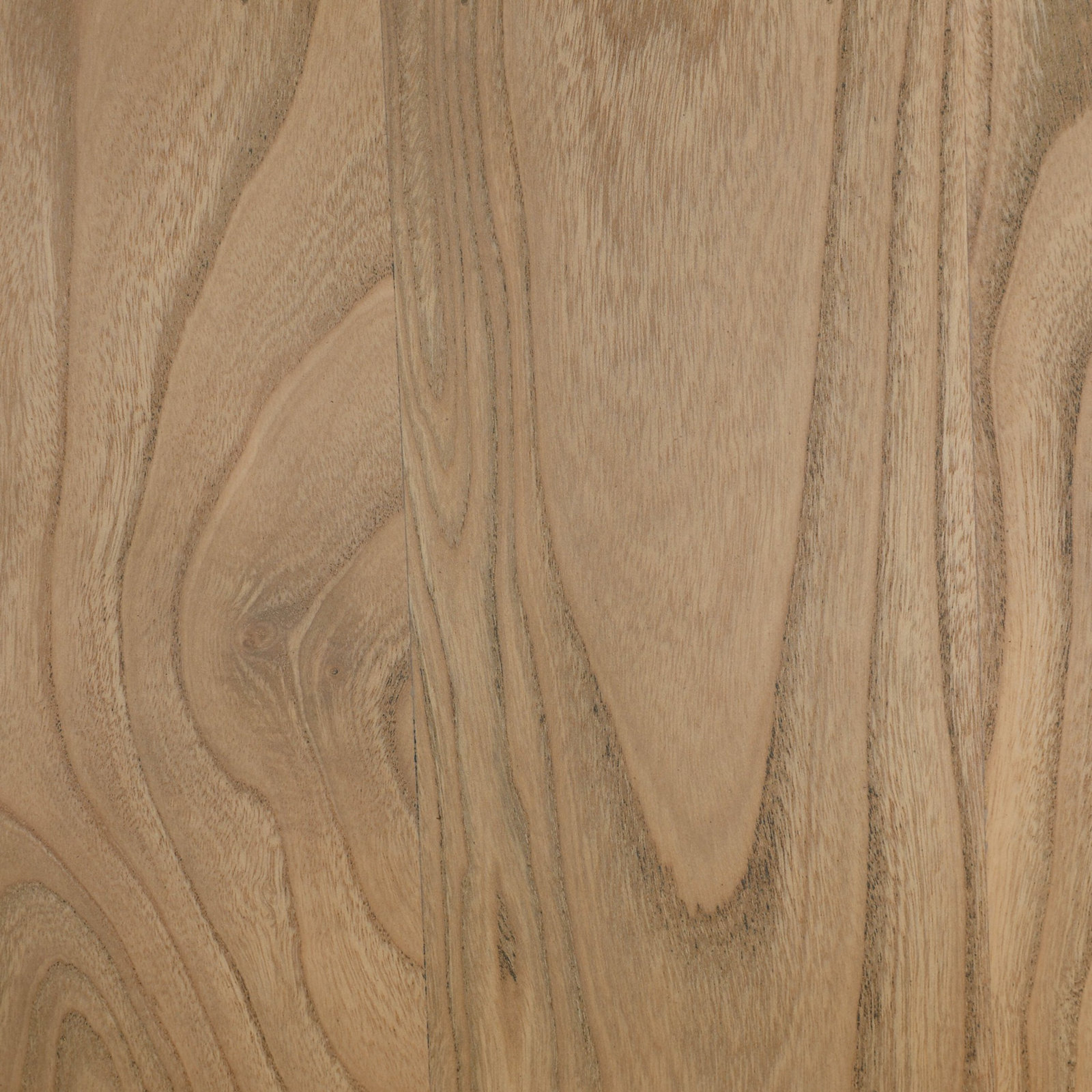 Kiwi Dining Chair