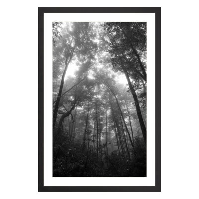 Landscape & Nature Print