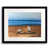 Black Framed Paper selected