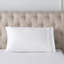 Taie d'oreiller en coton de qualité égyptienne à densité de tissage 420 fils Stanza-18239697-18308775