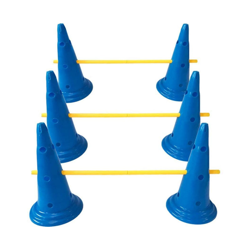 Ensemble d'agilité Dog Cone and Pole
