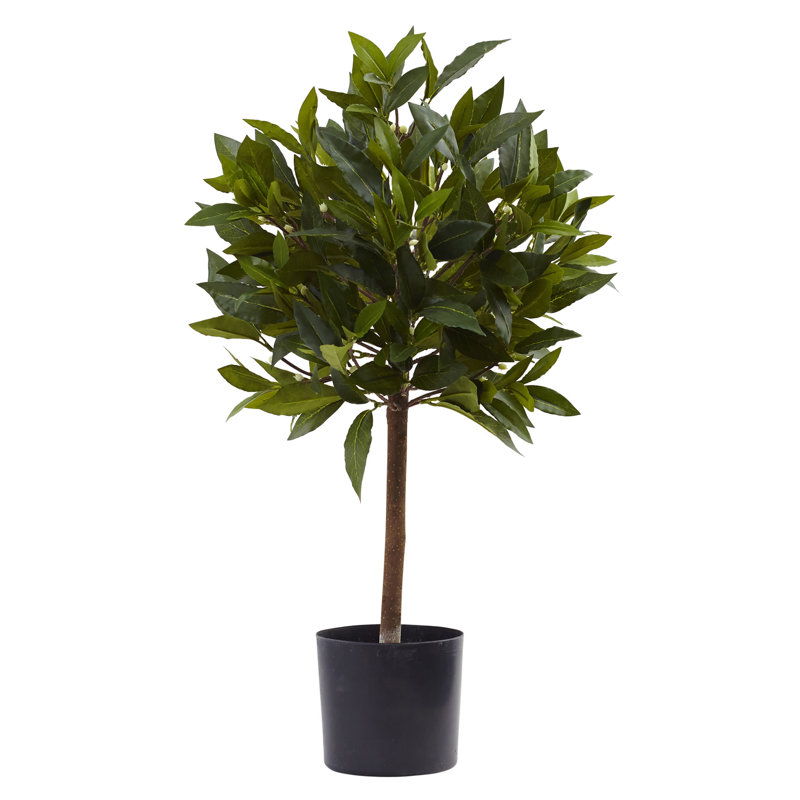 Laurier artificiel 24 po en pot