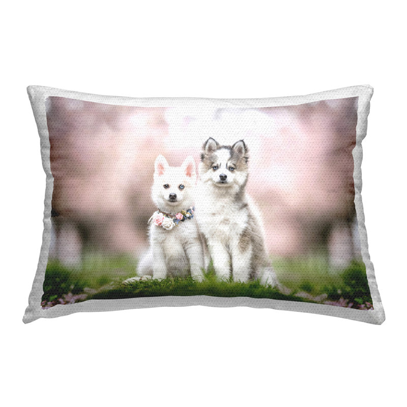 Coussin d'extérieur imprimé chiots avec fleurs printanières par Natalie Grosse