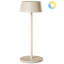 Iron Table Lamp-55872713