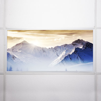 Housses pour lampes de plafond Landscape Classroom Fluorescent - pour luminaire 2 x 4 - par Octo Lights