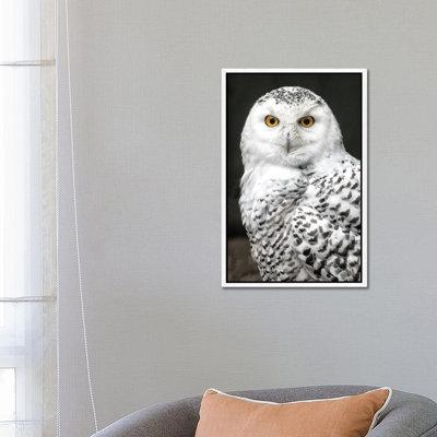 Snowey 1 Piece Wall Art on Canvas