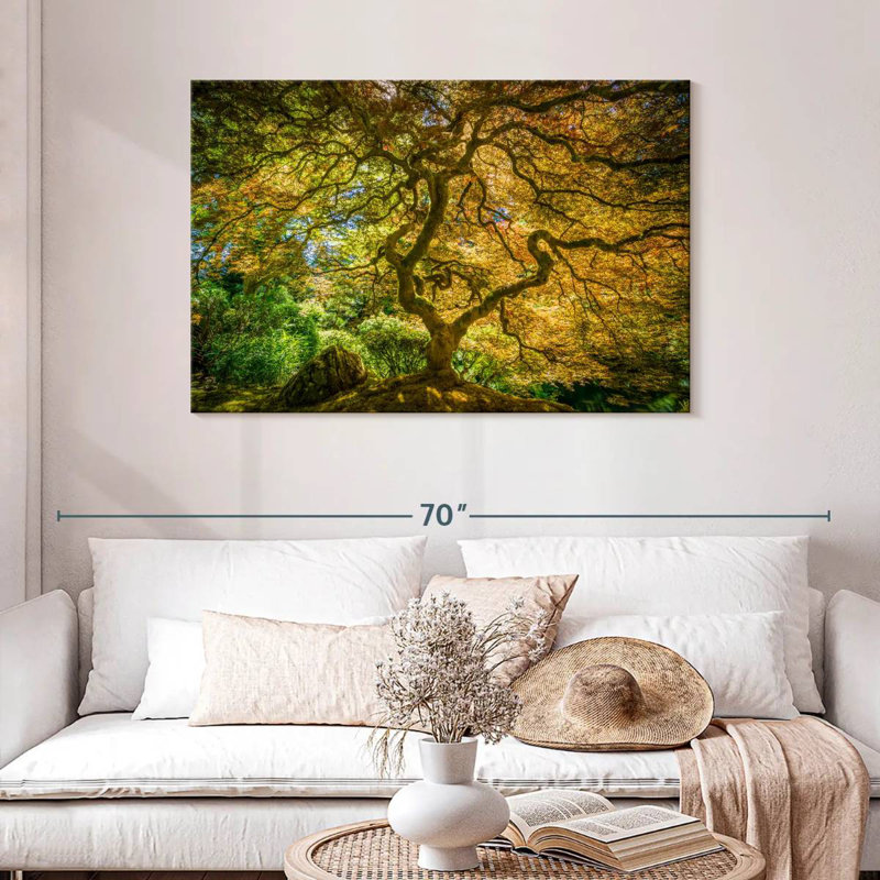 Harnek Ancient Japanese Maple, 30" H x 45" W