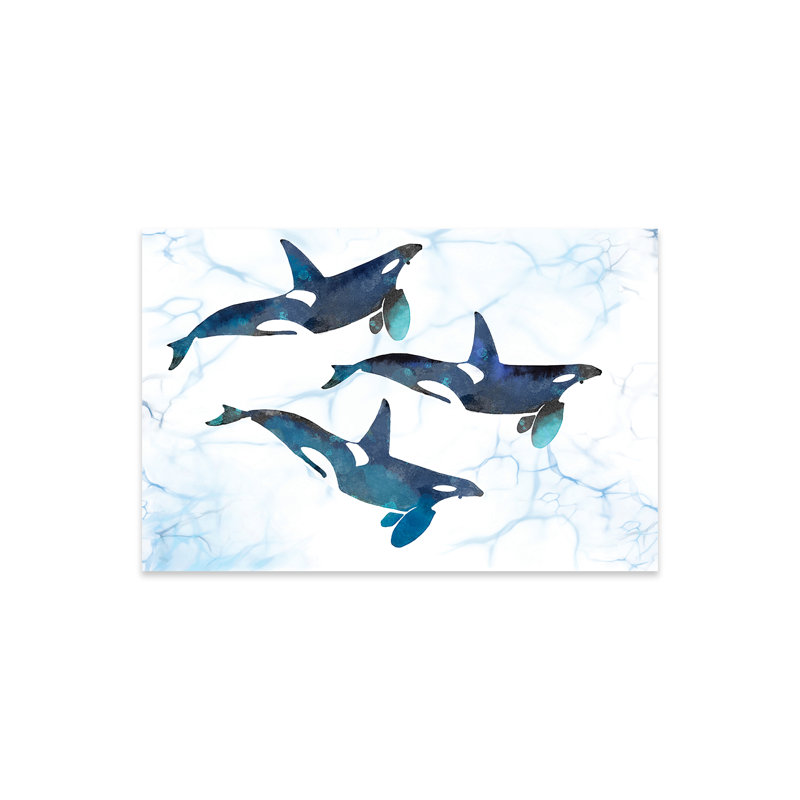 «Killer Whales In Motion On» par Thomas Little Print