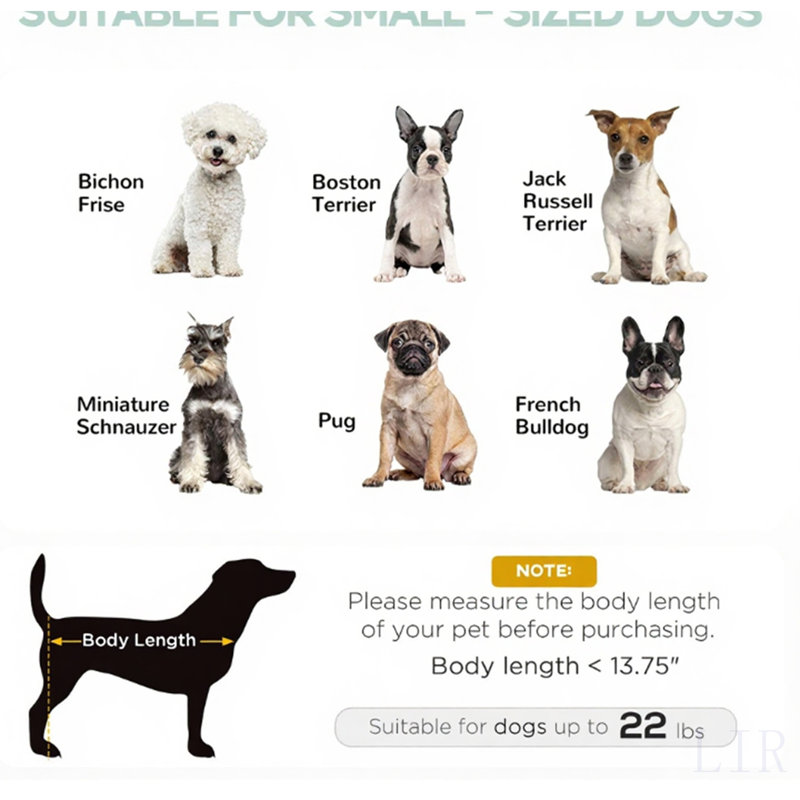 Lit pour chien surélevé pour chien, Gris, Petit (H 24,53 po x l 24,02 po x P 18,02 po)