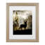 «Light Mystic Deer», art encadré mat-2023117249-2023117271