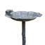 Bain d'oiseaux Ditmas Frog-1494633923