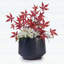 Ensemble de 3 pots à fleurs en céramique émaillée noir mat fait à la main, idéal pour les orchidées et les bégonias, utilisation intérieure / extérieure, argile respirante