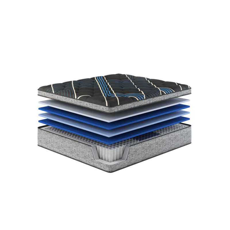 Matelas pour grand lit de 15 po Euro avec ressorts ensachés individuels, expérience de sommeil, techniques de refroidissement doubles, mousse aérée, contrôle de la température à mémoire de soutien, ferme lombaire Marvelous Middle®, 800