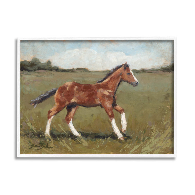 Cheval, galop, campagne au galop, art giclée par Sara Baker, H 11 po x l 14 po x P 1,5 po, Giclée encadrée blanc bord de mer