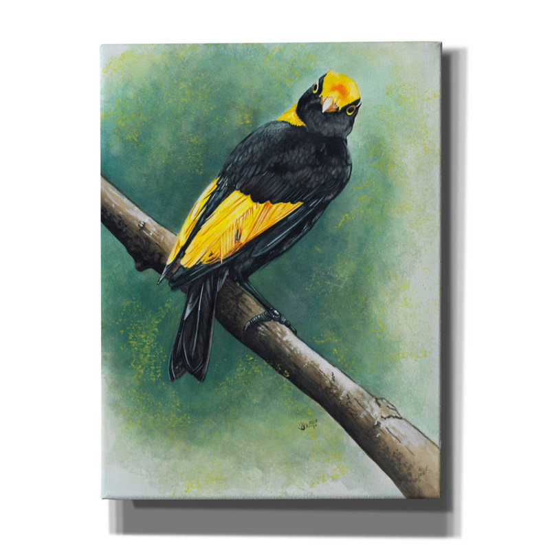 'Regent' by Barbara Keith, Canvas Wall Art, 16" H x 12" W x 0.75" D