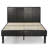 Amaar Upholstered Platform Bed-1836192414