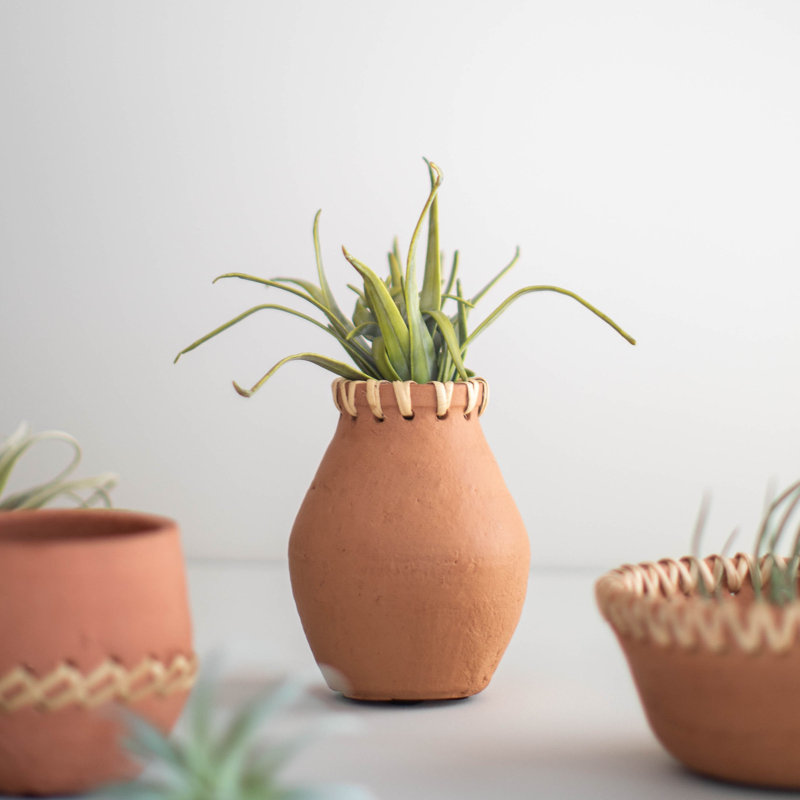 Vase en terre cuite Union
