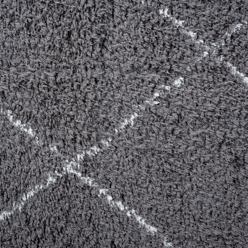 Tapis à poil long gris foncé Khristen Performance, Rectangle de 2 pi x 3 pi