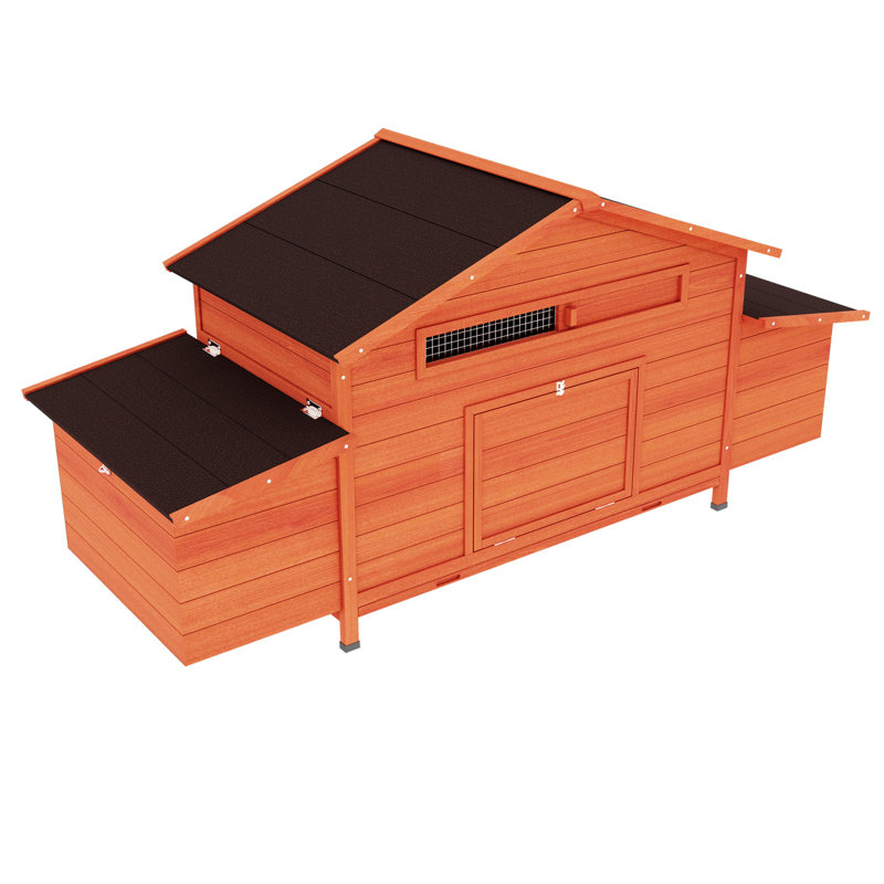 Poulailler en bois massif pour l'extérieur avec 2 nichoirs et entrées de rang, plateau étanche, surface, structure de prédateur, zone ventilée, route d'accès pratique, aire de repos confortable
