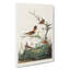 Wrens by John Audubon - Wrapped Canvas-55320085